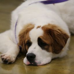 photograph by PeterW